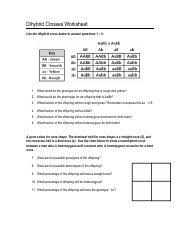 Check spelling or type a new query. Dihybrid Worksheet Pdf Dihybrid Crosses Worksheet Use The Dihybrid Cross Below To Answer Questions 1 U2013 6 1 What Would Be The Genotype For An Course Hero