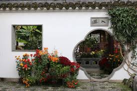 Mimulus aurantiacus in portland, oregon.jpg 1,936 × 1,288; Chrysanthemums Of Lan Su Chinese Garden In Portland Oregon Flirty Fleurs The Florist Blog Inspiration For Floral Designers