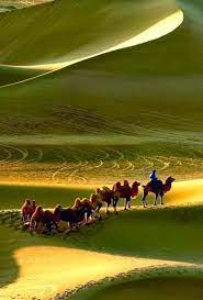 Besides good quality brands, you'll also find plenty of discounts when you shop for camel yellow during big sales. Google Deserts Of The World Beautiful Nature Beautiful Landscapes