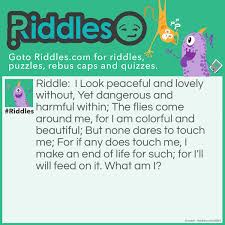 The logiclike team picked for you a bunch of easy and exciting riddles for kids. Colourful And Beautiful Yet Dangerous Riddles Com