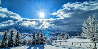 Snowy Saturday in North Ogden. We got at least 8 inches which is a couple  hours worth of moving snow.❄️💪