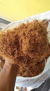 Beli sabut kelapa langsung dengan harga terbaru 2021 terbaik dari supplier , pabrik, importir, eksportir dan distributor. Jazlym Nursery Sabut Kelapa Hancur Cocopeat Stok Baru Facebook