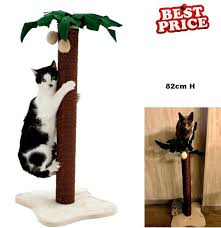 Petsmart is the adopt spot. Coco Palm Cat Tree Medium Kitty Pet Scratching Tower Post Gym Activity Centre Uk Cat Pet Supplies Cat Tree Scratching Post Pet Cooling Mat