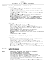 Plan and execute all web, email, sem, social media and display advertising campaigns that. Senior Product Marketing Manager Resume Samples Velvet Jobs