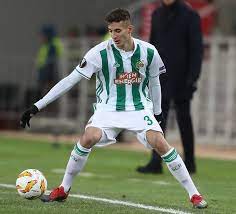Mert müldür, rapid wien ile profesyonel sözleşme imzalıyor. Mert Muldur Wikipedia