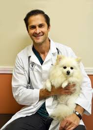 Meet Our Team Veterinarian And Animal Hospital In Carlsbad Ca Animal Medicine Animal Hospital Veterinarian