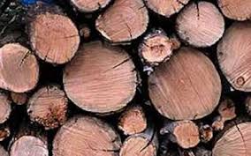 I will deliver you a dry honest, full cord of firewood. Firewood Nj Firewood For Sale Trusted Firewood