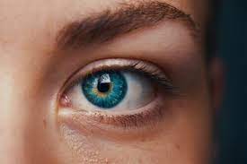 Chris jackman is great, especially with kids. Anna Eyecare P A