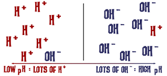 chem4kids com reactions acids and bases ii