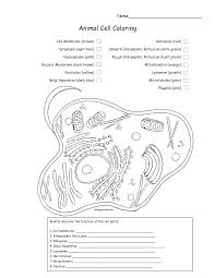 Animal Cell Coloring Animal Cell Cells Worksheet Plant And Animal Cells