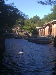 Lenox Hill, Aug 31, 2008