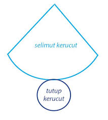Rumus Luas Permukaan Kerucut Dan Contoh Soal Lengkap Matematika Teorema Pythagoras Geometri