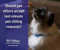 People who post a job are 5x more likely to find their new favorite pet sitter. Last Minute Pet Sitting Requests Should Pet Sitters Accept Them