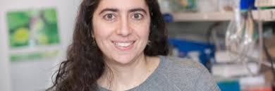 Treatment for Metastatic Colon Cancer