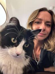 Cat in Talent, Yachats, OR needs adoption or foster home?