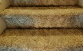 Check spelling or type a new query. Shark Ultracyclone Pet Pro Cordless Handheld Vacuum Series Official Shark Product Support Information