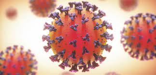 The district's surveillance data can be found here. Paho Who Coronavirus Disease Covid 19 Pandemic