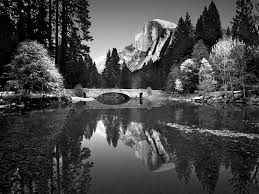 Best Black And White Nature Photographers Photography Photo Photo Camera Photoshop Photo Editor Photographer Technique Lens Ansel Adams Black And White Landscape Landscape Photographers