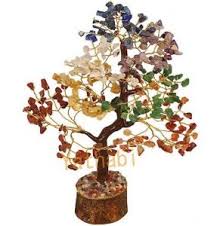 When grown outdoors, hobbit makes an attractive and non invasive ground cover. Best Feng Shui Money Tree And Luck In 2021 Top 9 Ranking