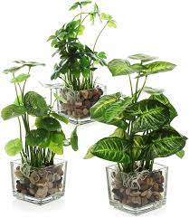 Enjoy fast delivery, best quality and cheap price. Amazon Com Mygift Set Of 3 Artificial Plants Faux Tabletop Greenery W Clear Glass Pots Home Kitchen