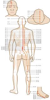 Perspicuous Meridian Pathways Chart 2019