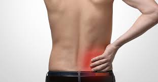 What organs are located in the belly? Why You May Have One Sided Back Pain Atlanta Ga Spine Surgery