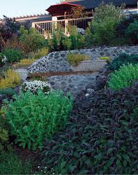 Extensive array of colorful and seasonal plants for your projects. Impress From A Distance Finegardening