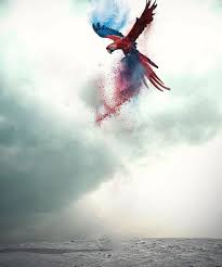 Vijay Mahar Hd Background Free Download 2020 Love Background Images Blur Background In Photoshop Light Background Images