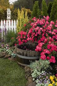 Flower Carpet Pink Supreme Roses Add A Brilliant Touch To Any Garden Or Landscape Cottage Garden Design Cottage Garden Easy Garden