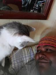 I have not really been posting anything lately because my heart is really  heavy for the loss of three of my family members they are in good hands now  they are looking