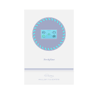 Dual Output High Frequency 3600w Hybrid Solar Inverter 24V