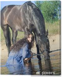 Le monde du cheval était, par tradition, masculin. Tableau Sur Toile Les Femmes Avec Cheval Noir Dans L Eau Pixers Nous Vivons Pour Changer