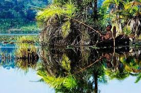 The hutu and the tutsi. Natur Und Vogelbeobachtungstour In Kirundo Zur Verfugung Gestellt Von Fun Top Fun Burundi Ngozi Burundi Tripadvisor