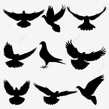 Pigeon Silhouette Flying Dove Silhouette Vector Pigeon Silhouette Flying Dove Silhouette Vector Bird Png And Vector With Transparent Background For Free Download Vector flying dove with olive branch black. pigeon silhouette flying dove