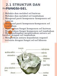 Maybe you would like to learn more about one of these? 2 1struktur Dan Fungsi Sel Pdf