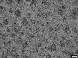 Image result for steel micrograph