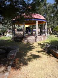 Los olivos han estado siempre presentes en mi vida, para mi es un árbol que significa resistencia, gratitud, fuerza y generosidad. Hacienda Los Olivos Picture Of Hacienda Los Olivos Metepec Tripadvisor
