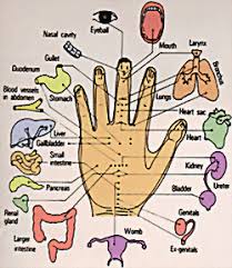 Studious Korean Acupuncture Chart List Of Acupuncture Points