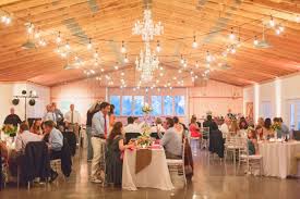 Deirdre Vince Up The Creek Farms Valkaria Wedding Farm Wedding Venue Wedding Farm Wedding