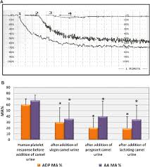 The scientist found that the substances (produced, producing, having produced) were complex. Characterization Of Inhibitory Activity Of Camel Urine On Human Platelet Function Sciencedirect