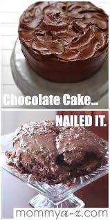 Nailed It Chocolate Cake Mommy A Z Funny Cake Bad Cakes Chocolate Cake