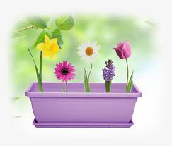 You can download (700x700) vaso di fiori. Vaso Di Fiori Png Image Transparent Png Free Download On Seekpng