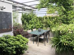 Quali sono le piante resistenti al freddo nel tuo giardino? 10 Piante Sempreverdi Da Balcone Living Corriere