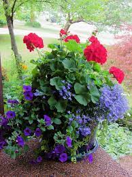 Pin On Garden Ideas