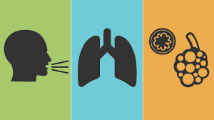 The symptoms of aspergillosis depend primarily on which organ system is affected by the mold fungi. What Is Aspergillosis Symptoms Causes Diagnosis Treatment And Prevention Everyday Health
