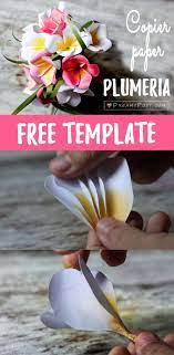 Printer Paper Plumeria Free Template And Full Tutorial Paper Flowers Diy Paper Flower Patterns Paper Bouquet