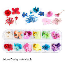 Dry flower materials diy makeup nail phone case frame plant flower specimens dried flowers for nails. Assorted Real Dried Pressed Mini Flowers For Resin Jewellery Or Nail A Resin Play