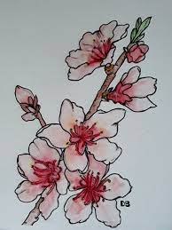 Tattoo fiori di pesco sfondi hd gratis. Fior Di Pesco Disegno Acquerello Di Daniela Bertoni Greco Disegno Fiori Disegno Acquerello Fiori