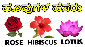 2 flowers names with pictures. Learn Flowers Names In English And Kannada à²¹ à²µ à²—à²³ à²¹ à²¸à²° Flowers Name Youtube
