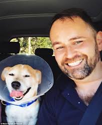 Man hit by car trying to save dog mourns pup's death